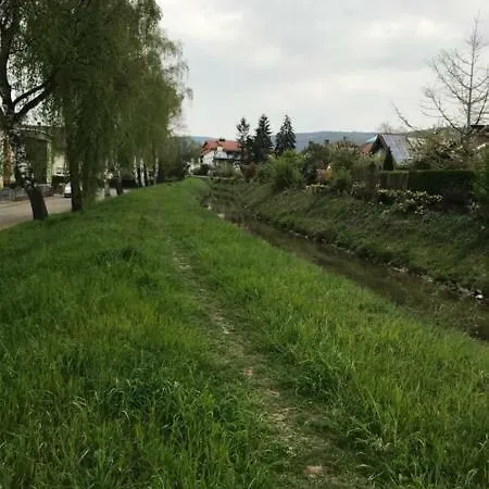 Am Bach Kick Nußloch